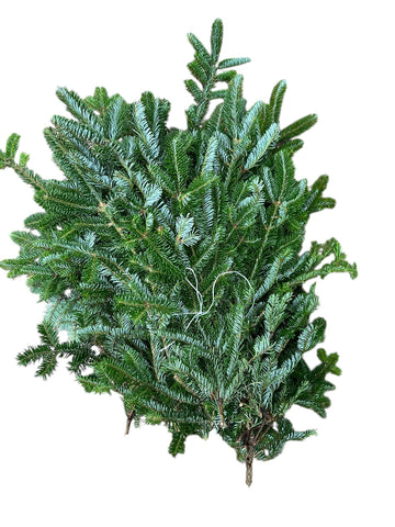 Fresh Fraser Pine foliage in a 10kg box, ideal for sustainable Christmas wreath making and festive floral designs