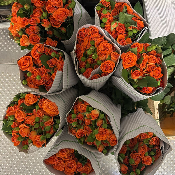 IMPORT - ROSE Spray ORANGE 60cm 10 stems