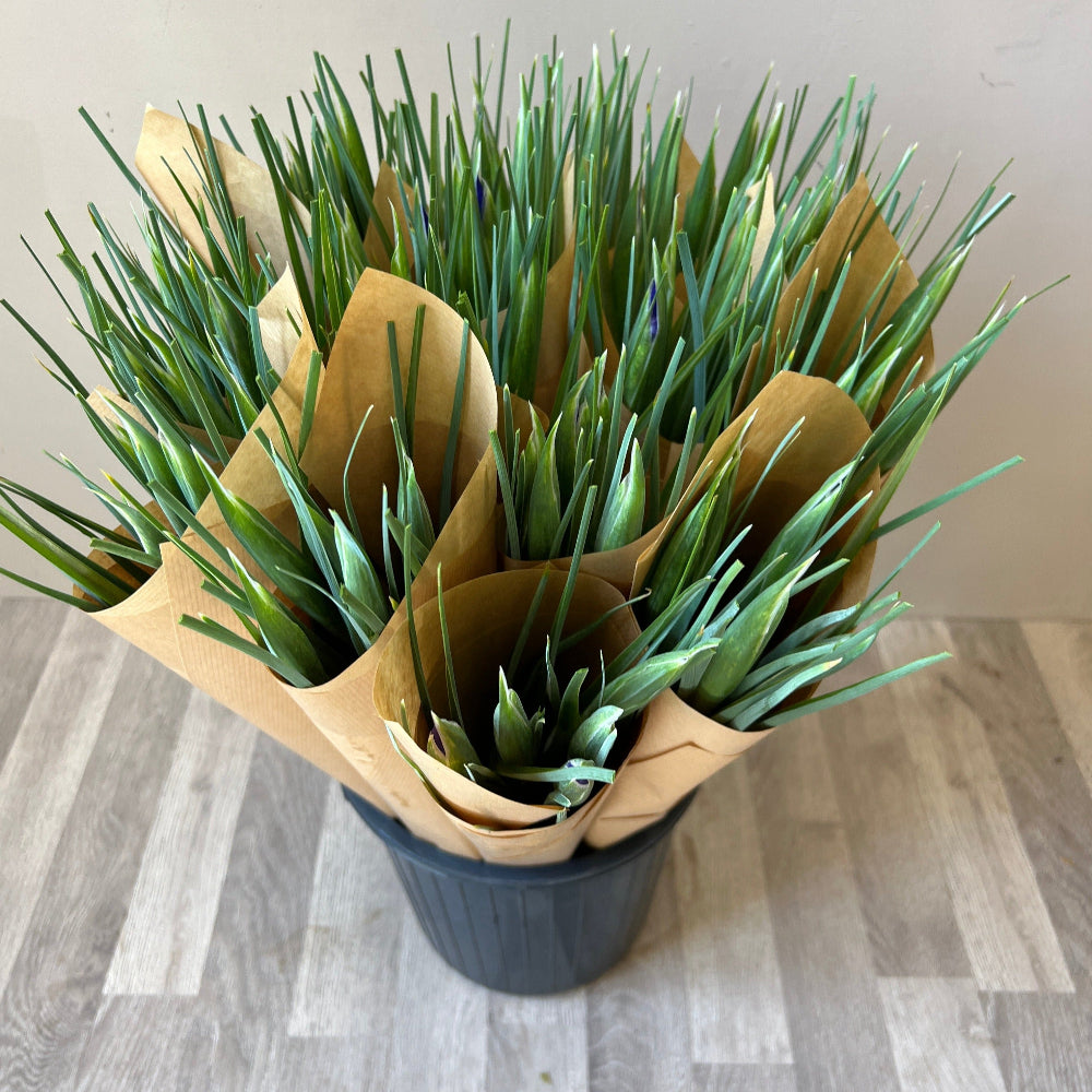 uk IRIS ONLINE FARM SHOP STYLE