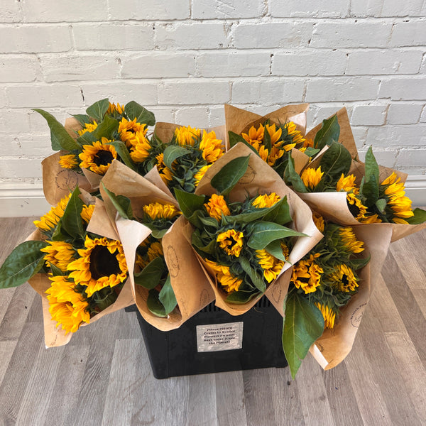 FARM SHOP FLOWERS - Sunflowers (10 x 5 stems £3)