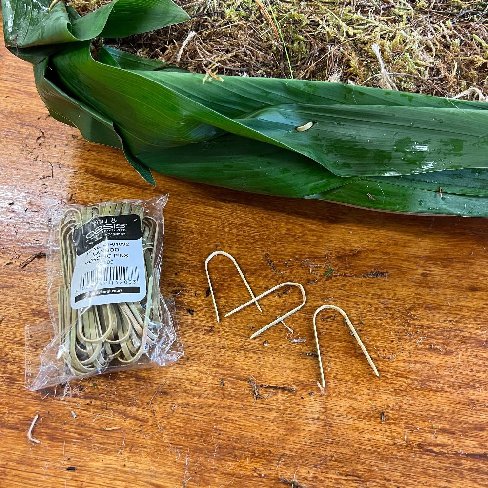Bamboo Mossing Pins Pack of 100 British Flowers direct by Evolve