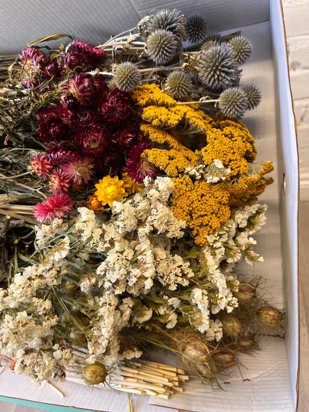 Dried Flowers ***Box Offer-A***