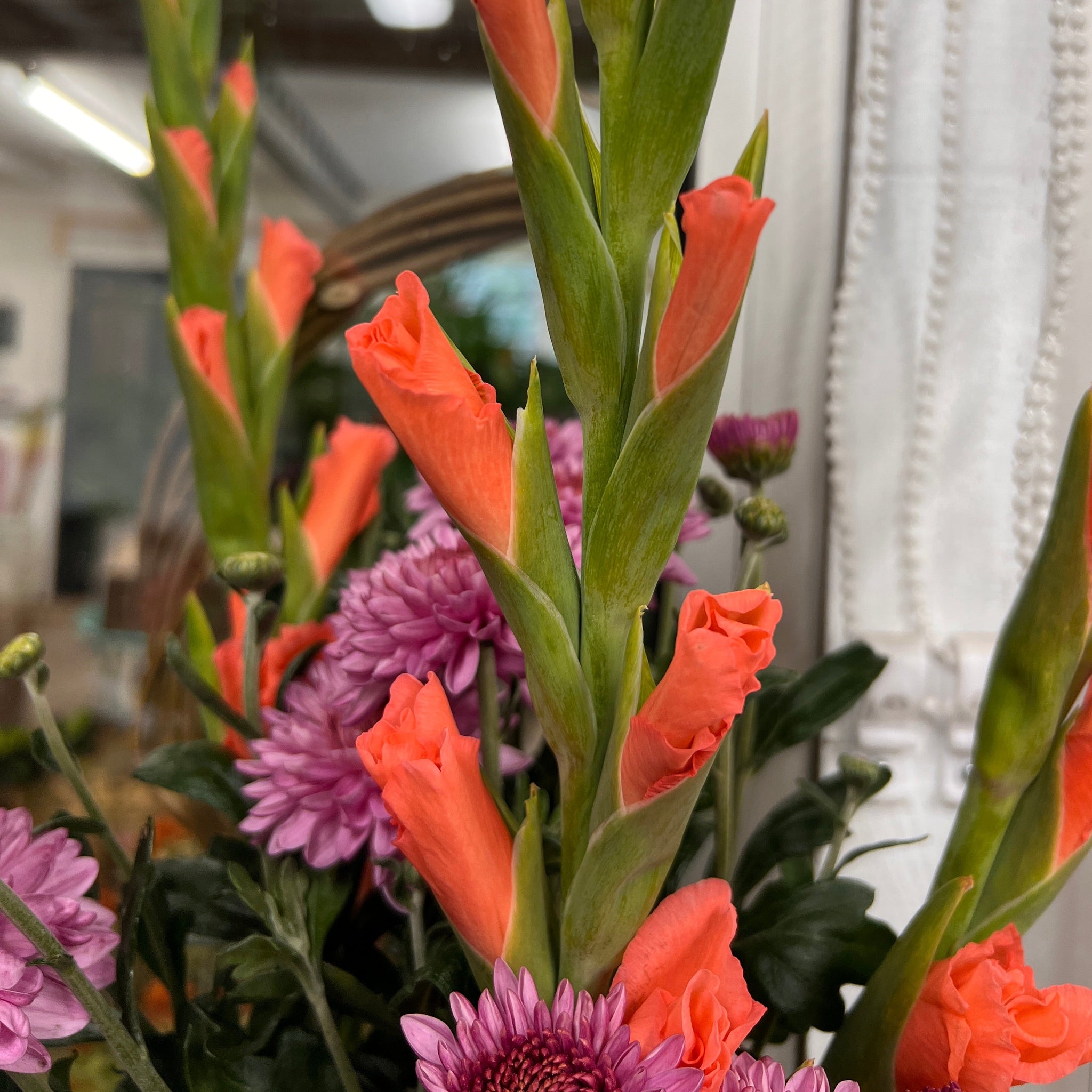 Gladioli - 50 stems - Coral