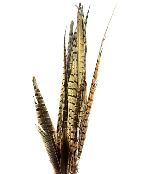 Natural British pheasant feathers for rustic florals sourced from local butcher