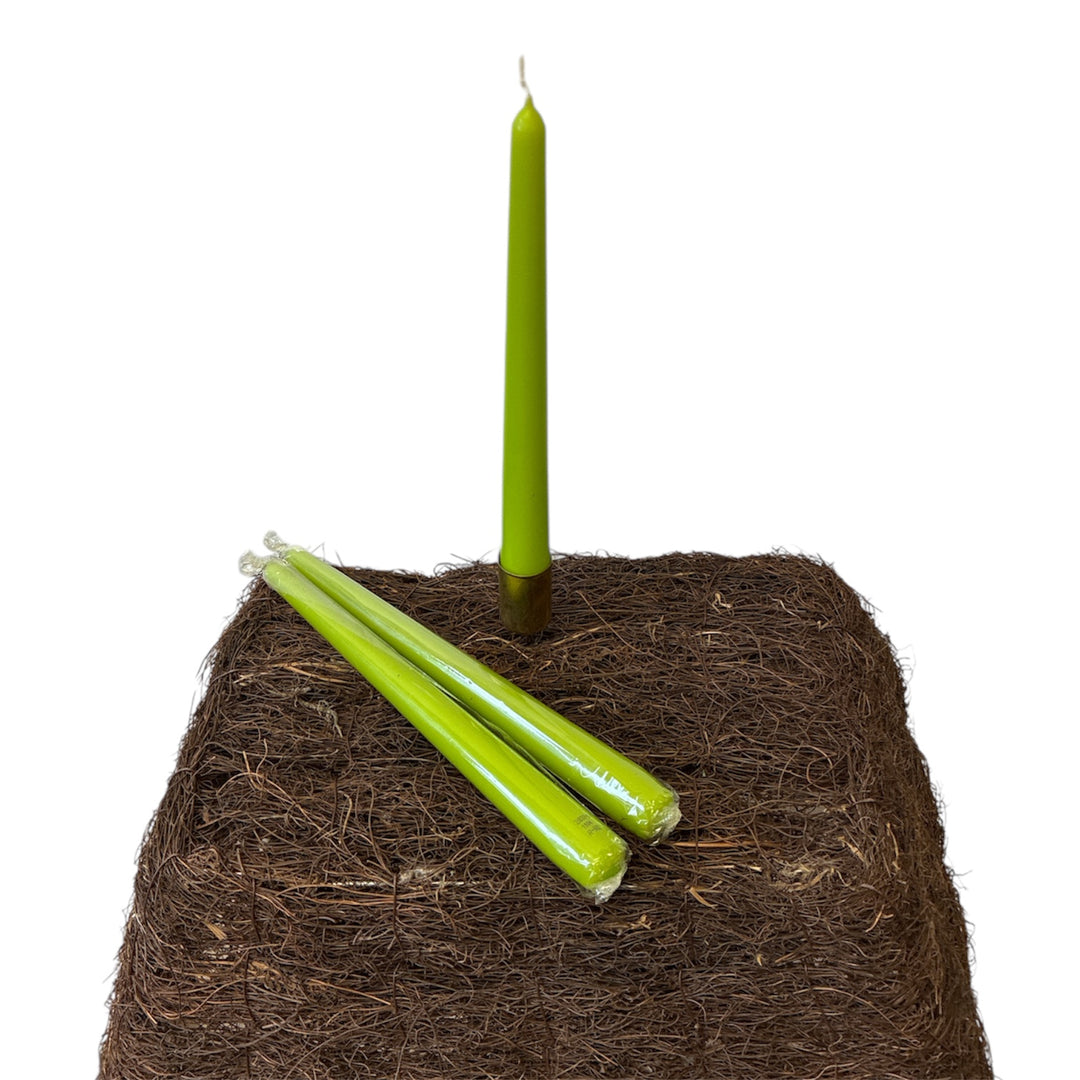 Lime green candles on a bed of coconut fiber against a white background