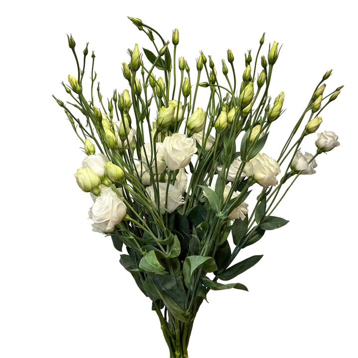 A bouquet of white lisianthus flowers with green stems and buds, tied with a simple rubber band, standing on a concrete floor against a white door.