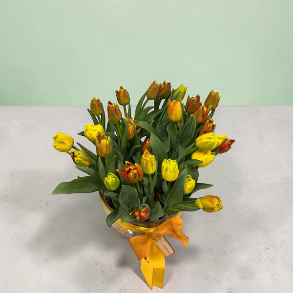 Bouquet of yellow and orange tulips on the bulb with a yellow ribbon and gift label