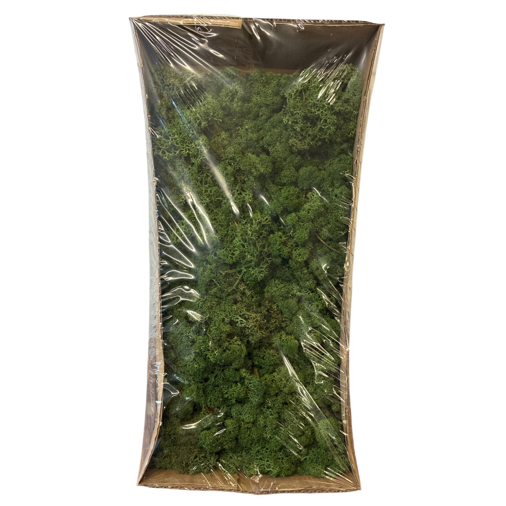 Bag of green moss with clear plastic wrap on a white background