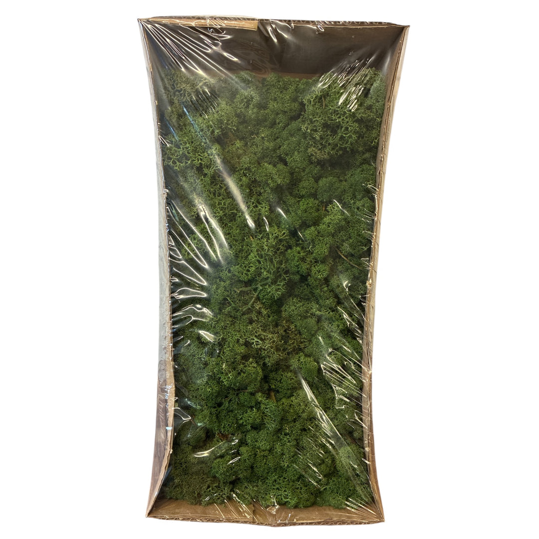 Bag of green moss with clear plastic wrap on a white background