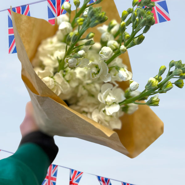 FARM SHOP FLOWERS - Scented Stock bunches 10 x 5