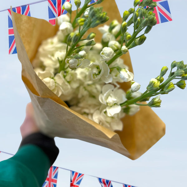 FARM SHOP FLOWERS - Scented Stock bunches 10 x 5