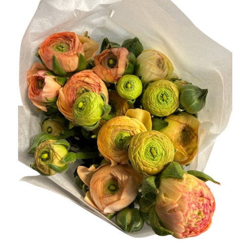 apricot ranunculus online wholesale