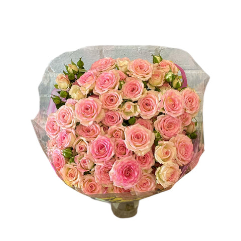 IMPORT SPRAY ROSE - Creamy Twister 60cm - 10 stems