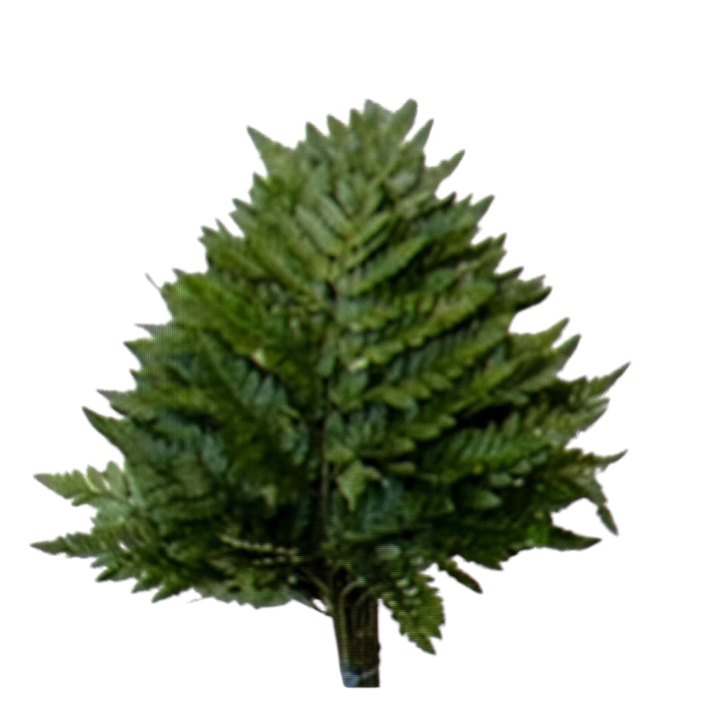 import foliage leather leaf 