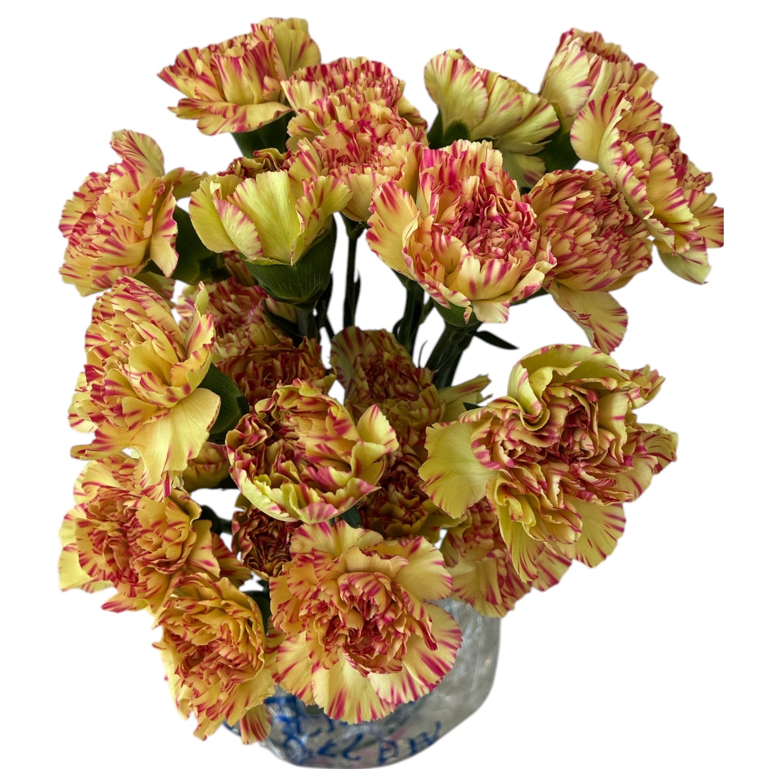 IMPORT - Standard Carnation -yellow with a pink fleck 25 stems - SPECIAL OFFER
