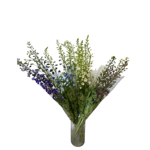 Delphinium -Mixed Blues 10 stems