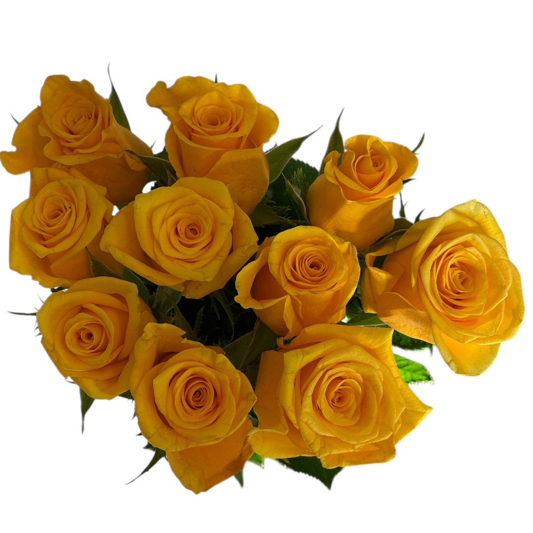 IMPORT - ROSE (ET) Moonwalk Yellow Rose 50cm