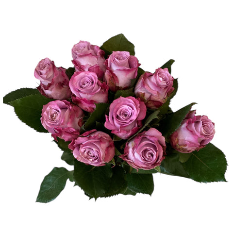 IMPORT - ROSE (ET) medium headed Maritim  50cm - Lilac