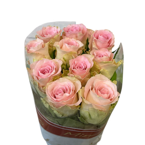 IMPORT - ROSE (ET) medium headed White  50cm - Bisou