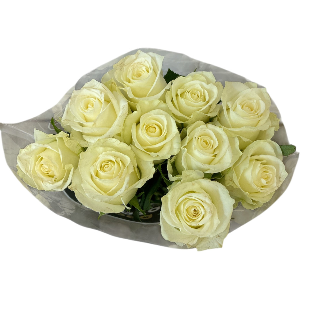 IMPORT - ROSE (ET) medium headed White  40cm - Alpe d&