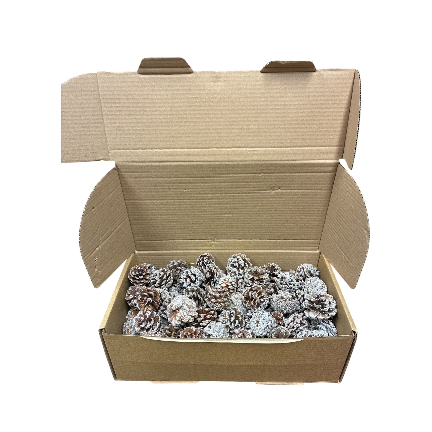 XMAS - Frosted Pinecones x 100