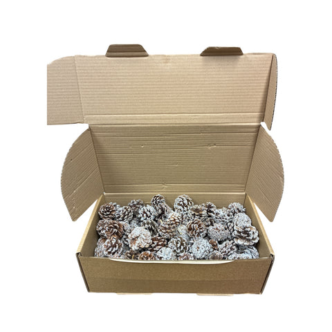XMAS - Frosted Pinecones x 100