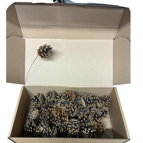 Pine Cones  **LOW CARBON** British - pre wired  x 50