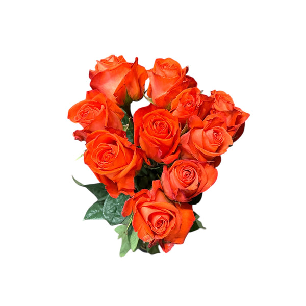 IMPORT ROSE Large Headed Orange Alive 50cm x 10 stems