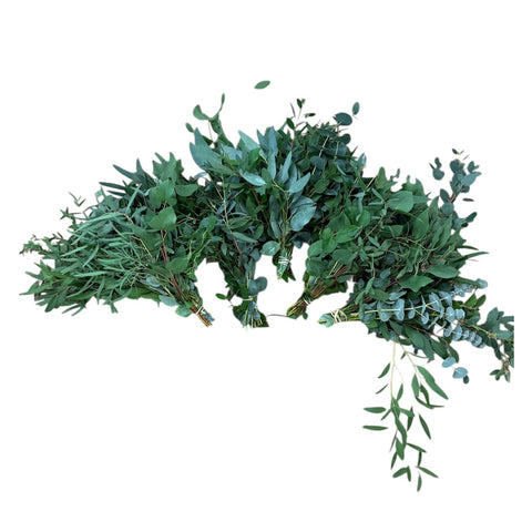 A large mixed bundle of 100 Norfolk-grown eucalyptus stems at 40cm length, showcasing varied green tones and leaf shapes, ideal for sustainable UK-grown foliage arrangements.