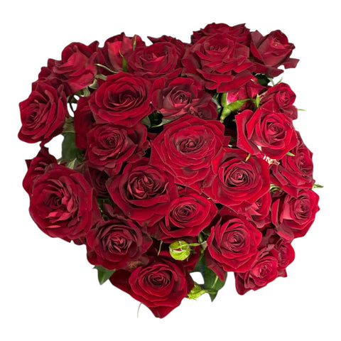 IMPORT - ROSE Spray Rubicon 50cm - x 10 stems