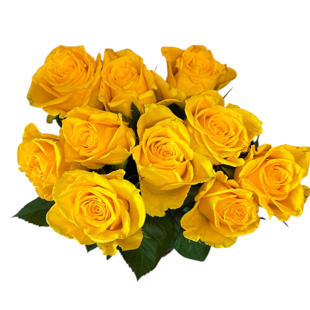 IMPORT - ROSE (KE) Medium headed Yellow 50cm - Njano