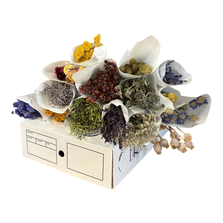 DRIED Flowers - Large Box INC DELIVERY