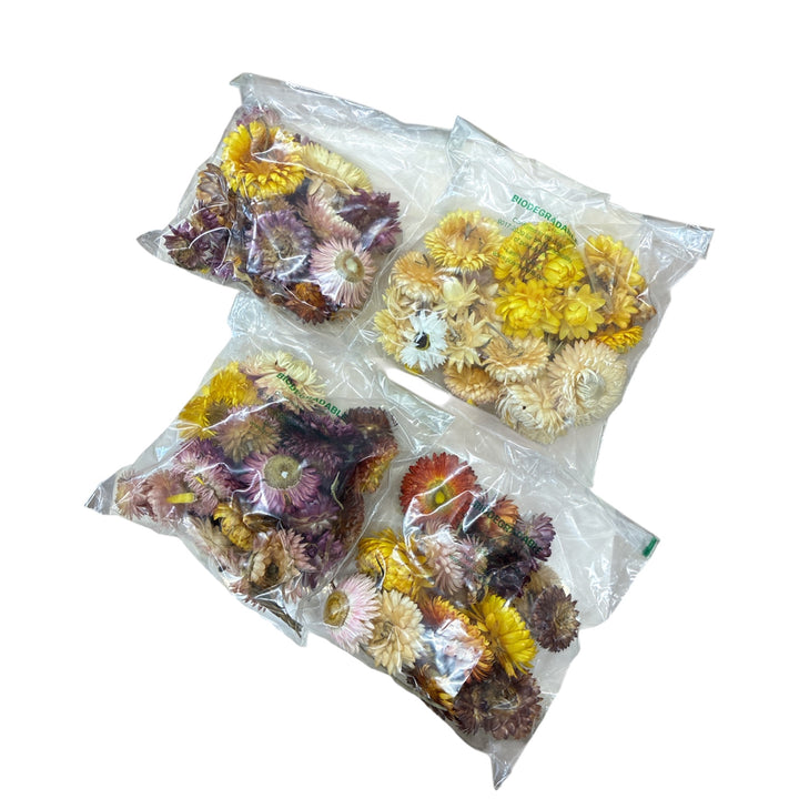 DRIED - Helichrysum Heads - MIXED - Strawflower - small bag est. 20 heads