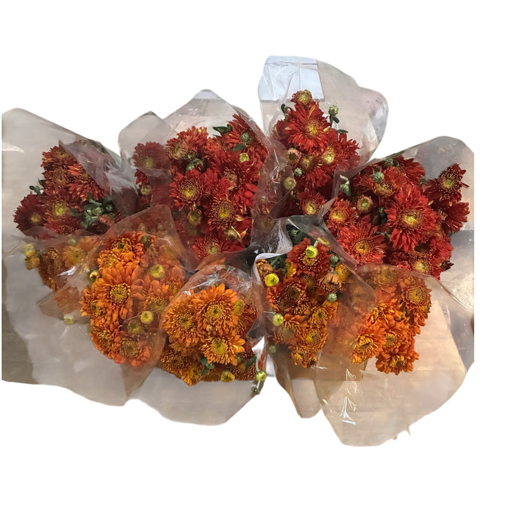 BLOOM BOOSTER - Chrysanthemums - Red / Orange   - (10 bunches) incl. delivery