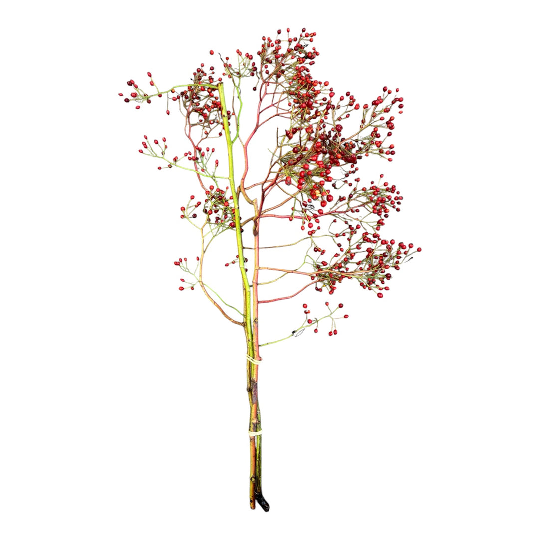 Rosehips Bough Tops - RED - British Grown 75cm - (3 branches)