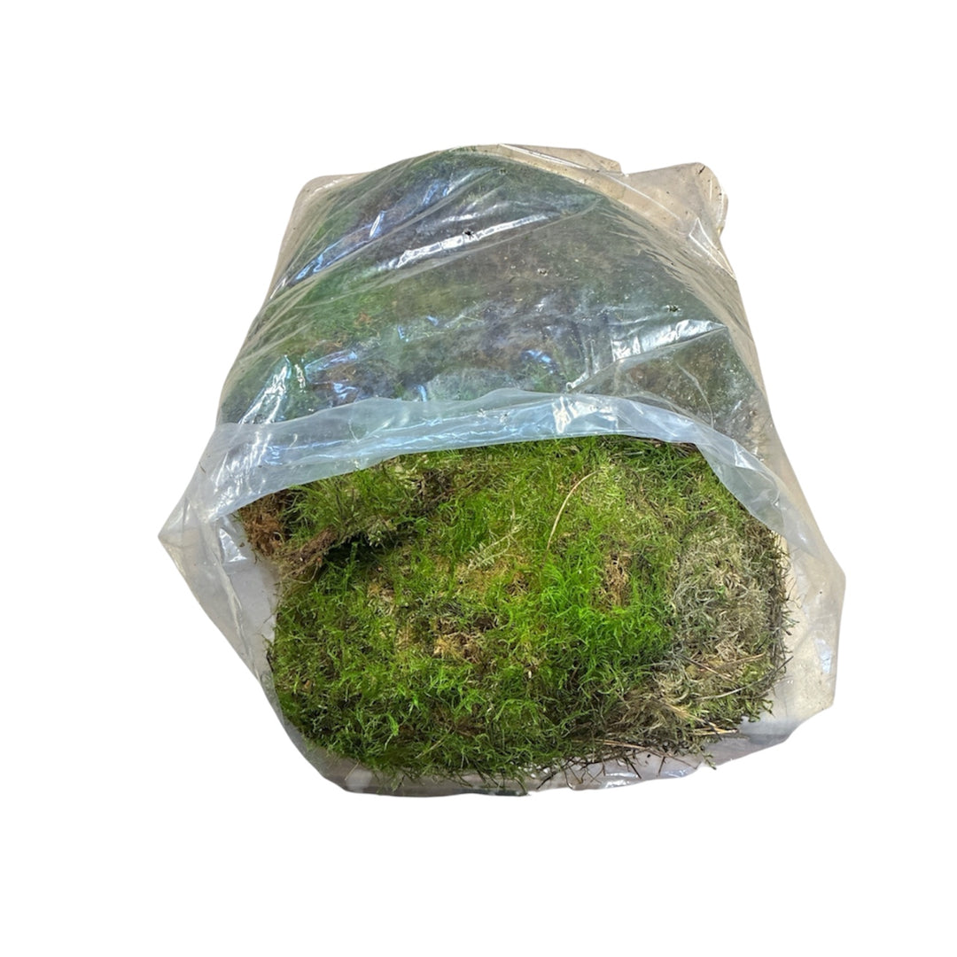 Moss - Norfolk Pot Topping Grade Bag