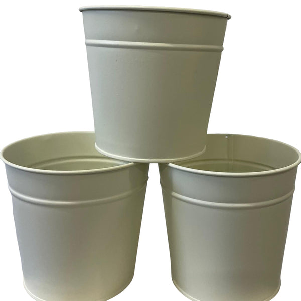 potted plants online