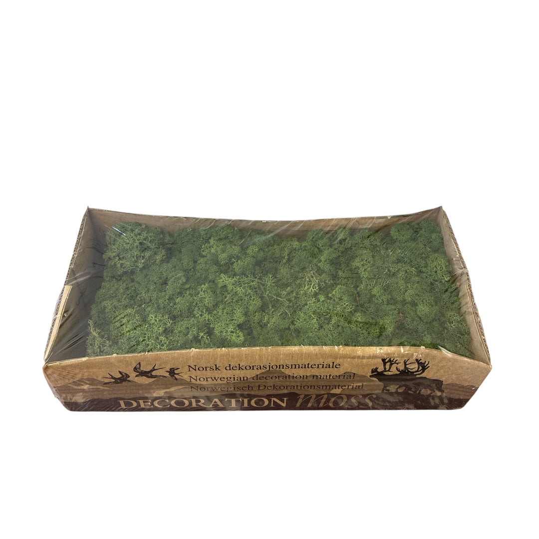 Rectangular container with green moss-like material and 'Norsk dekorasjonsmateriale' branding on a white background.