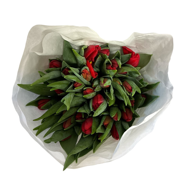 Bouquet of red tulips wrapped in green paper on a white background