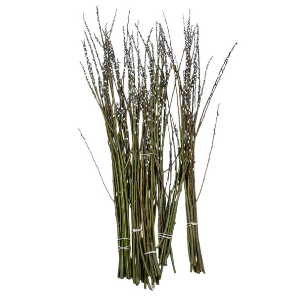 Bunch of green sticks on a white background