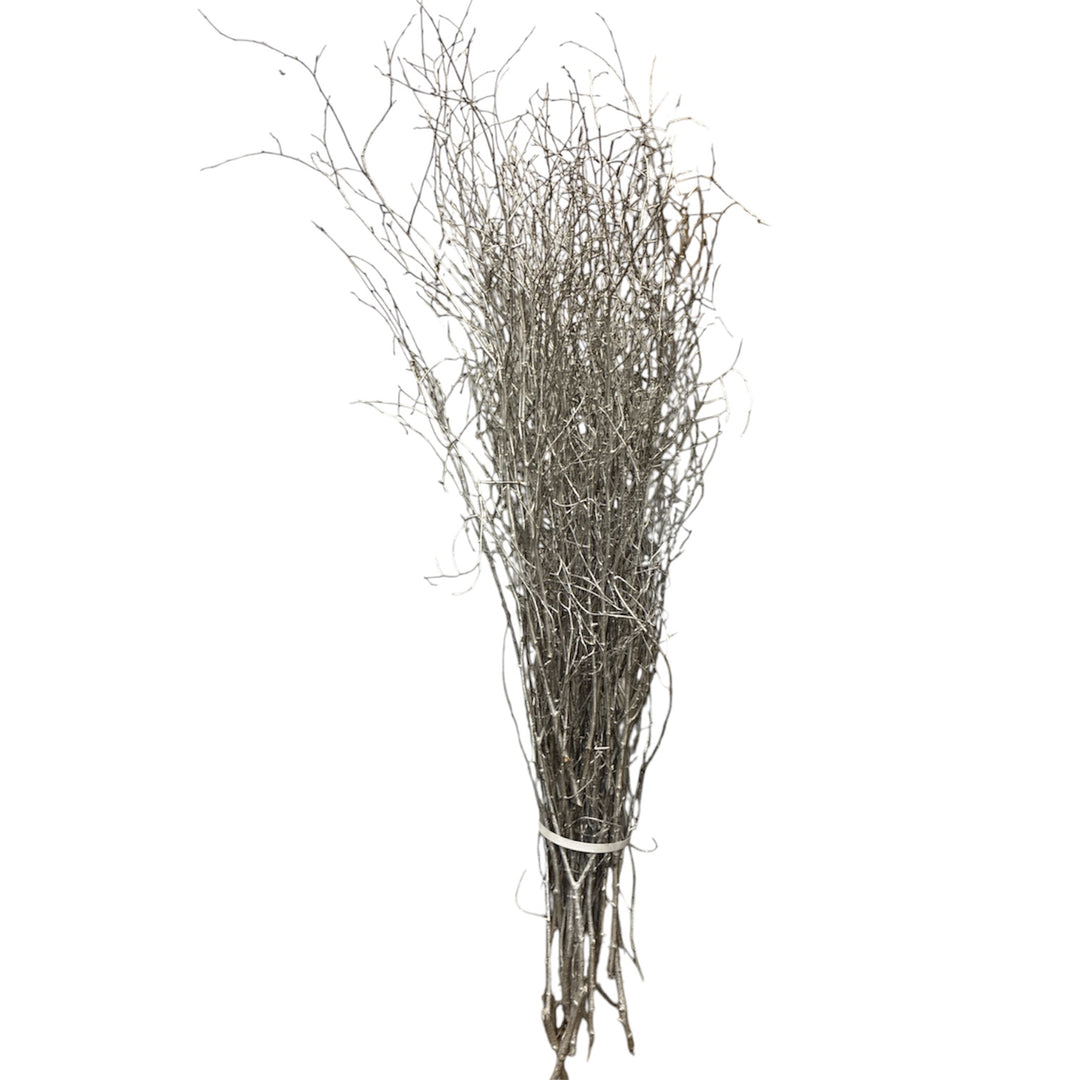 A bundle of dried, thin Birch brown twigs and branches tied together with a white string, isolated on a solid white background.