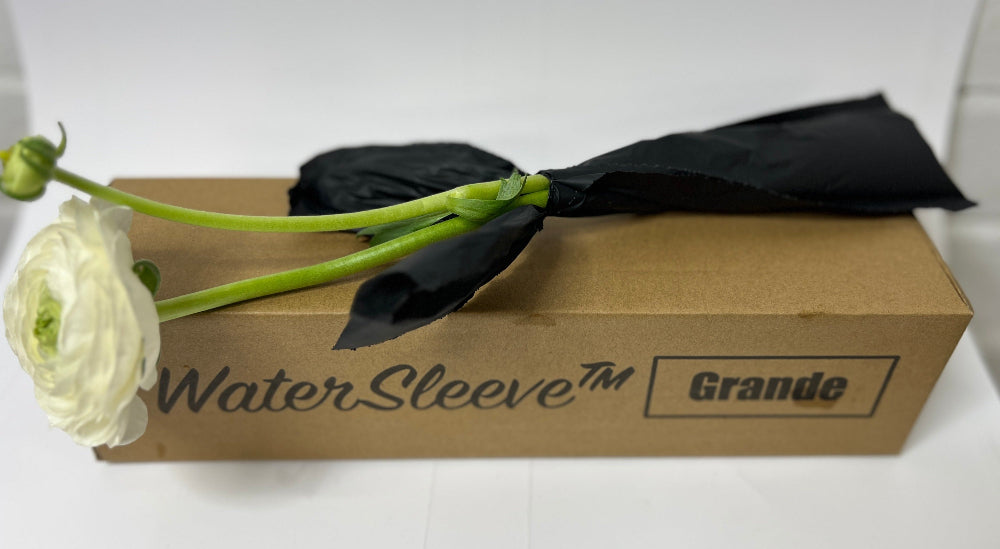 mail order innovation eco friendly