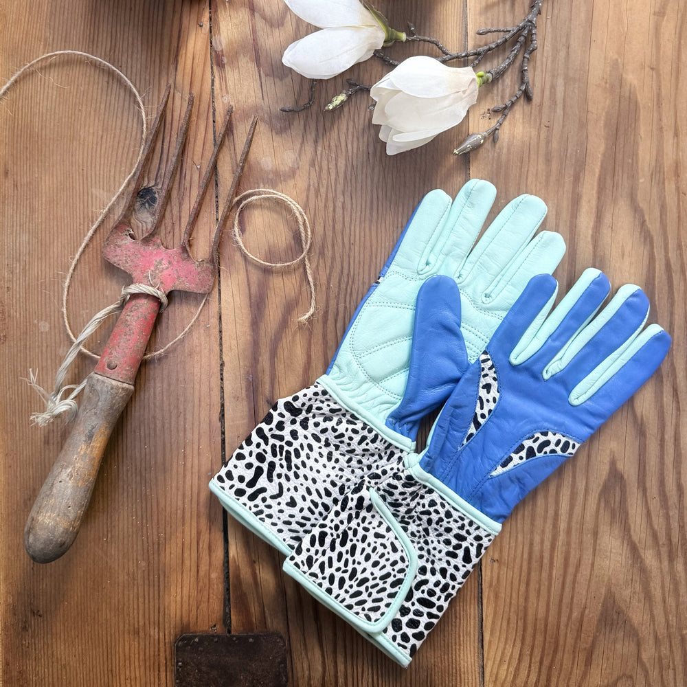 Flat lay view of Spinsterz Patricia leather gardening gloves in sky blue and turquoise with leopard print cuffs, resting on a wooden surface next to a terracotta pot and garden hand fork.