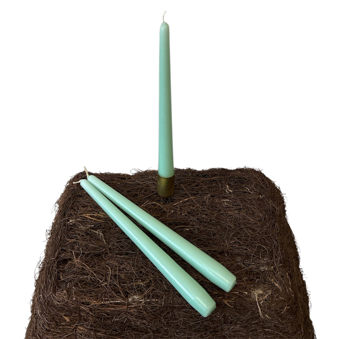 Three mint candles on a bed of brown straw against a white background