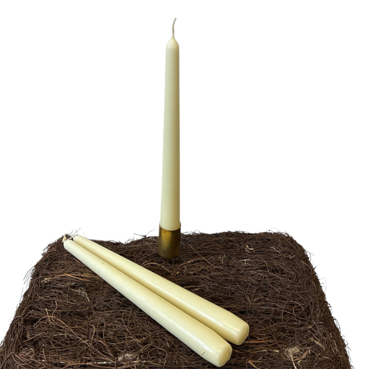 Tghree Ivory white candles on a bed of coir with a white background