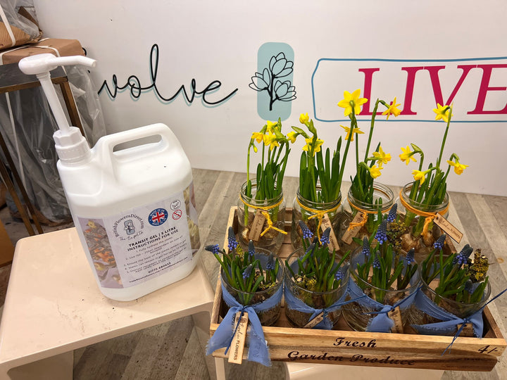 White container with a label, small potted plants in jars, and a wooden box labeled &