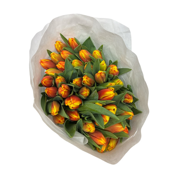 Bouquet of orange and yellow tulips wrapped in white paper on a white background