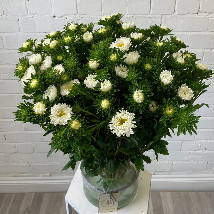 A beautiful bundle of UK-grown white Asters styled in a clear glass vase, showcasing their natural, multi-headed stem structure and meadowy charm.