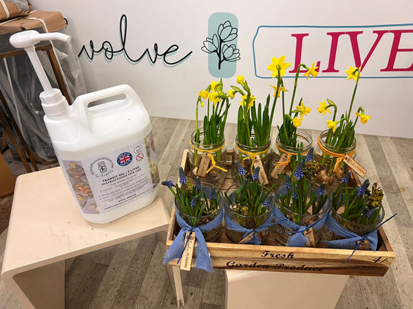 Jars with plants on a wooden tray next to a large container, with 'Volve' and 'Live' signs in the background.