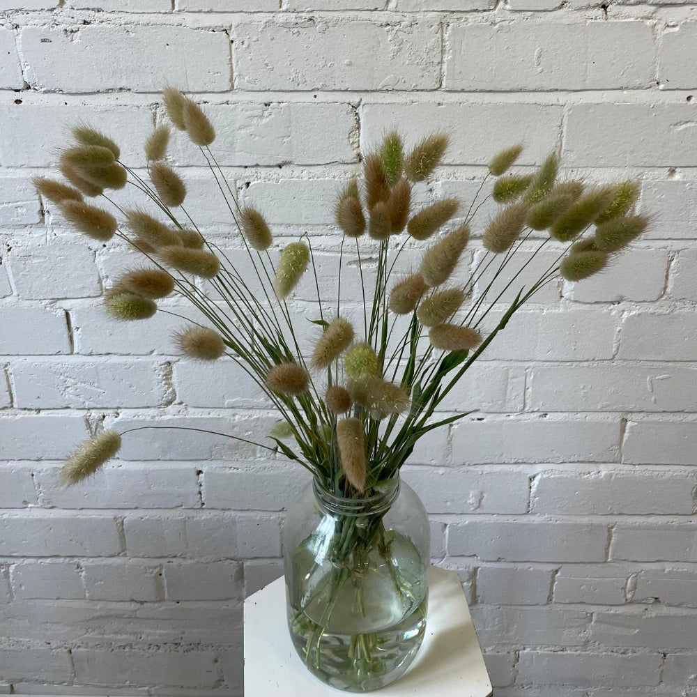 uk dried grass online florist